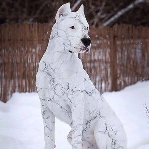 Meet your Posher, Patrick